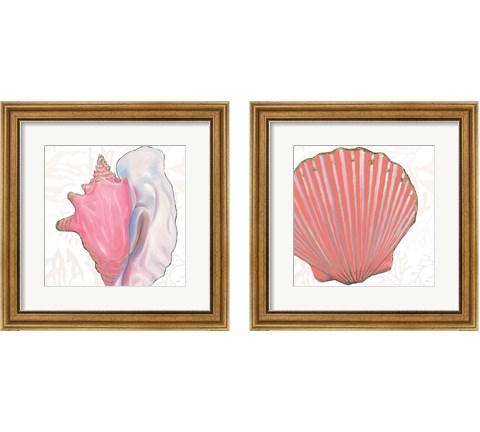 Shimmering Shells 2 Piece Framed Art Print Set by James Wiens