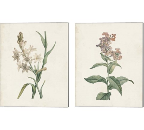 Classic Botanicals 2 Piece Canvas Print Set by Pierre-Joseph Redoute