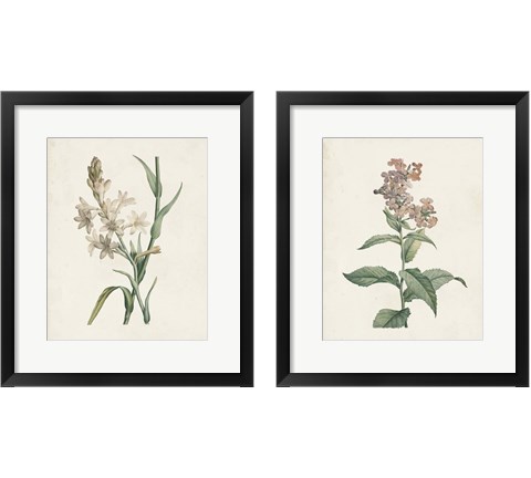 Classic Botanicals 2 Piece Framed Art Print Set by Pierre-Joseph Redoute