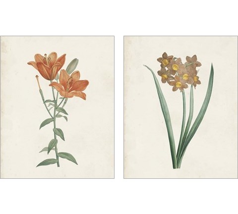 Classic Botanicals 2 Piece Art Print Set by Pierre-Joseph Redoute