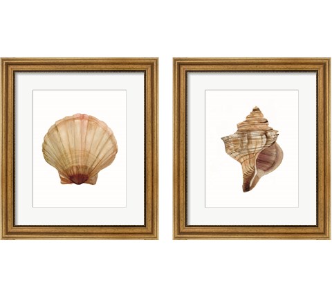 Neutral Shell Collection 2 Piece Framed Art Print Set by Stellar Design Studio