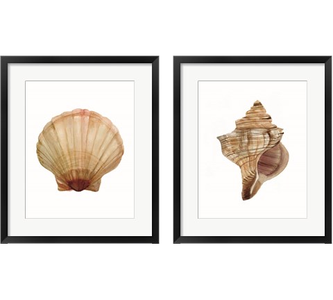 Neutral Shell Collection 2 Piece Framed Art Print Set by Stellar Design Studio