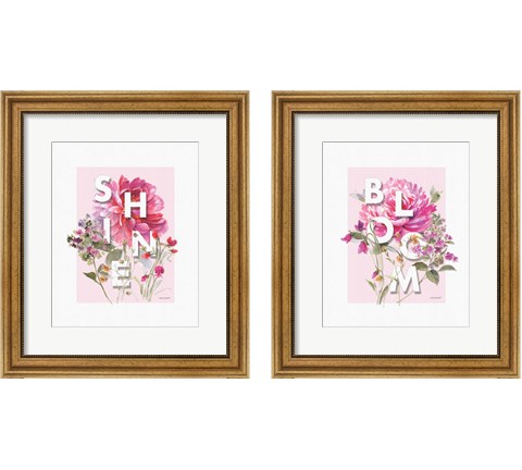 Bloom & Shine 2 Piece Framed Art Print Set by Lisa Audit
