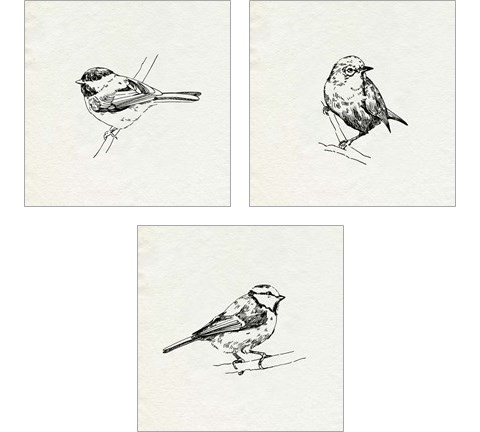 Bird Feeder Friends 3 Piece Art Print Set by Emma Caroline
