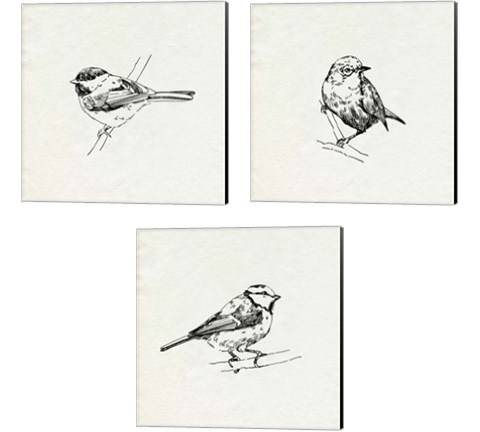Bird Feeder Friends 3 Piece Canvas Print Set by Emma Caroline
