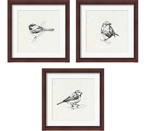 Bird Feeder Friends 3 Piece Framed Art Print Set by Emma Caroline