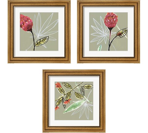 Tropic Botanicals 3 Piece Framed Art Print Set by Jennifer Goldberger
