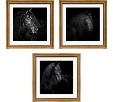 Equine Portrait 3 Piece Framed Art Print Set by PHBurchett