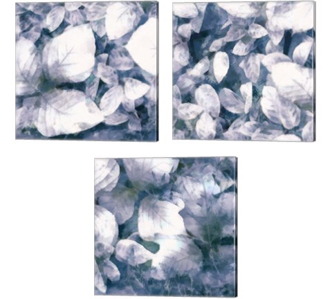 Blue Shaded Leaves 3 Piece Canvas Print Set by Alonzo Saunders