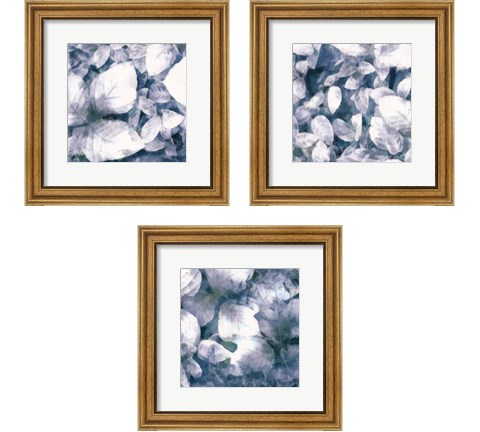 Blue Shaded Leaves 3 Piece Framed Art Print Set by Alonzo Saunders
