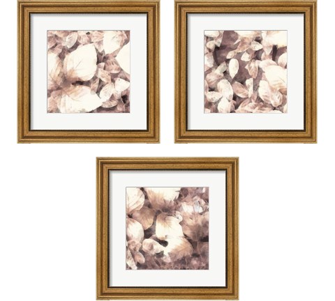 Blush Shaded Leaves 3 Piece Framed Art Print Set by Alonzo Saunders