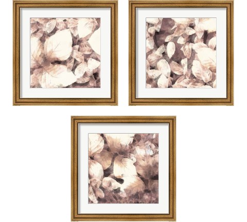 Blush Shaded Leaves 3 Piece Framed Art Print Set by Alonzo Saunders