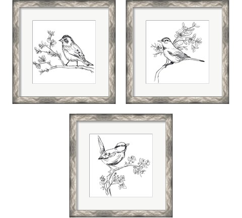 Simple Songbird Sketches 3 Piece Framed Art Print Set by June Erica Vess