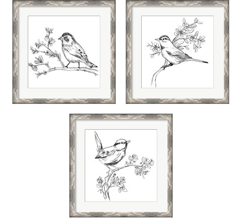 Simple Songbird Sketches 3 Piece Framed Art Print Set by June Erica Vess
