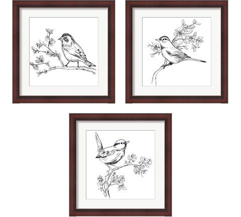 Simple Songbird Sketches 3 Piece Framed Art Print Set by June Erica Vess