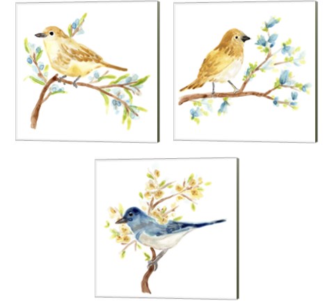 Springtime Songbirds 3 Piece Canvas Print Set by June Erica Vess