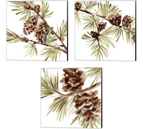 Simple Pine Cone 3 Piece Canvas Print Set by June Erica Vess