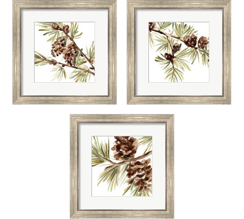 Simple Pine Cone 3 Piece Framed Art Print Set by June Erica Vess