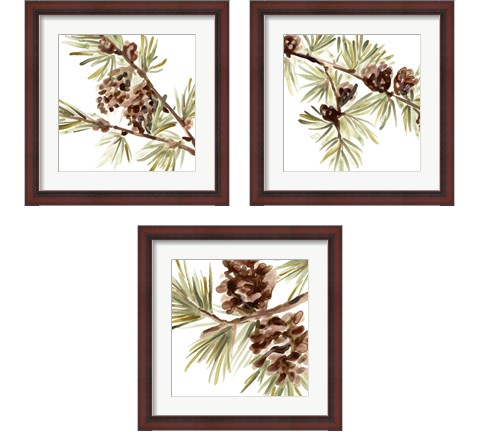 Simple Pine Cone 3 Piece Framed Art Print Set by June Erica Vess
