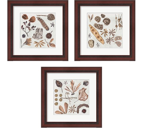 Small Things 3 Piece Framed Art Print Set by Melissa Wang