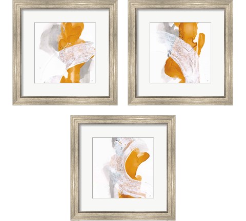 Amber Wash 3 Piece Framed Art Print Set by Chris Paschke
