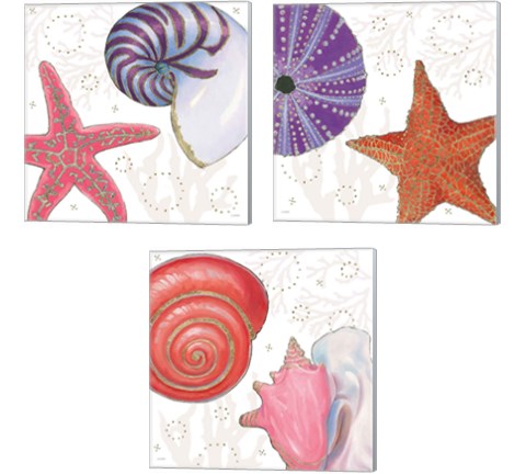 Shimmering Shells 3 Piece Canvas Print Set by James Wiens