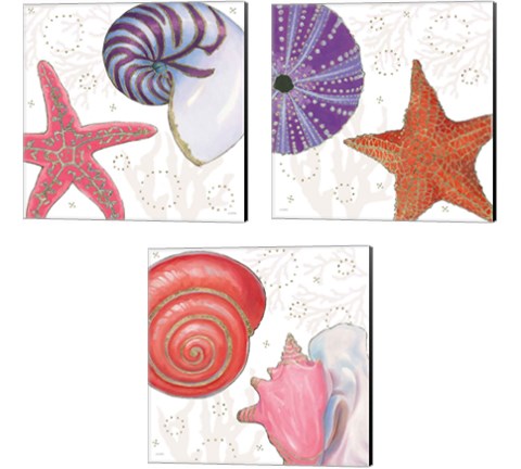 Shimmering Shells 3 Piece Canvas Print Set by James Wiens