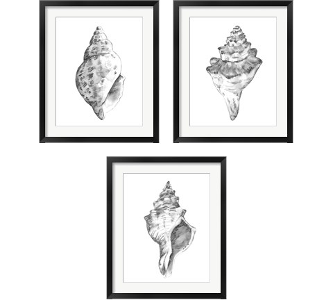 Quiet Conchvvvv 3 Piece Framed Art Print Set by Emma Caroline