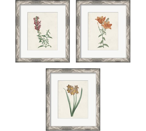Classic Botanicals 3 Piece Framed Art Print Set by Pierre-Joseph Redoute