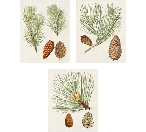 Antique Pine Cones 3 Piece Art Print Set