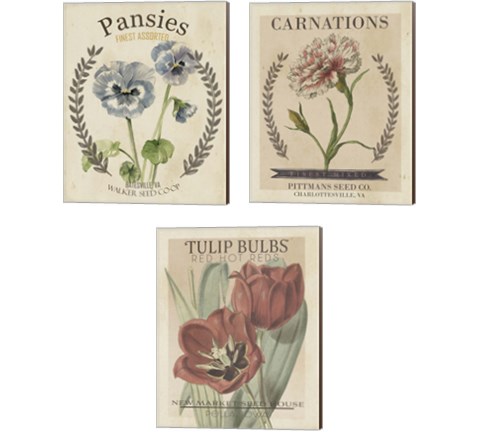 Vintage Seed Packets 3 Piece Canvas Print Set by Studio W