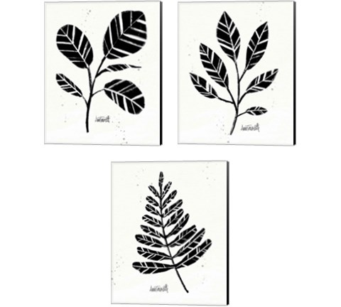 Botanical Sketches 3 Piece Canvas Print Set by Anne Tavoletti