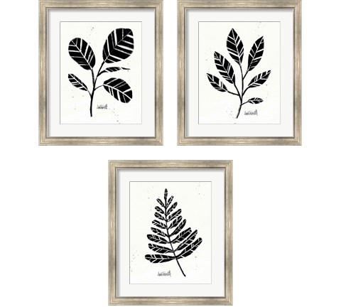 Botanical Sketches 3 Piece Framed Art Print Set by Anne Tavoletti