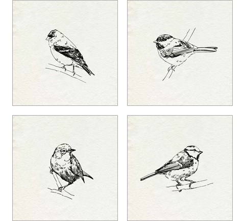 Bird Feeder Friends 4 Piece Art Print Set by Emma Caroline
