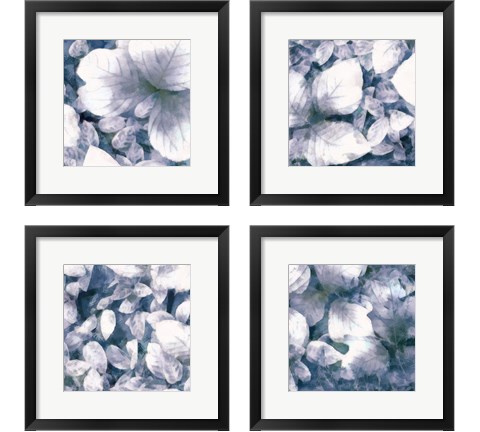 Blue Shaded Leaves 4 Piece Framed Art Print Set by Alonzo Saunders