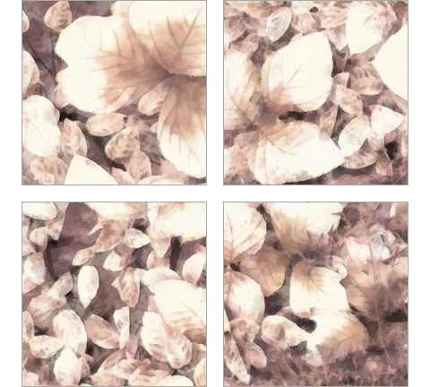 Blush Shaded Leaves 4 Piece Art Print Set by Alonzo Saunders