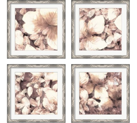 Blush Shaded Leaves 4 Piece Framed Art Print Set by Alonzo Saunders