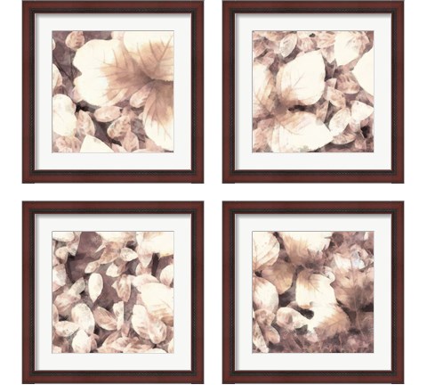 Blush Shaded Leaves 4 Piece Framed Art Print Set by Alonzo Saunders