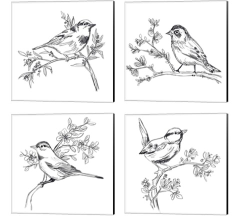 Simple Songbird Sketches 4 Piece Canvas Print Set by June Erica Vess