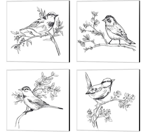 Simple Songbird Sketches 4 Piece Canvas Print Set by June Erica Vess