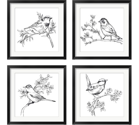 Simple Songbird Sketches 4 Piece Framed Art Print Set by June Erica Vess