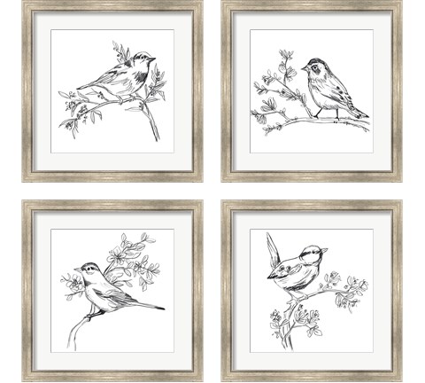 Simple Songbird Sketches 4 Piece Framed Art Print Set by June Erica Vess