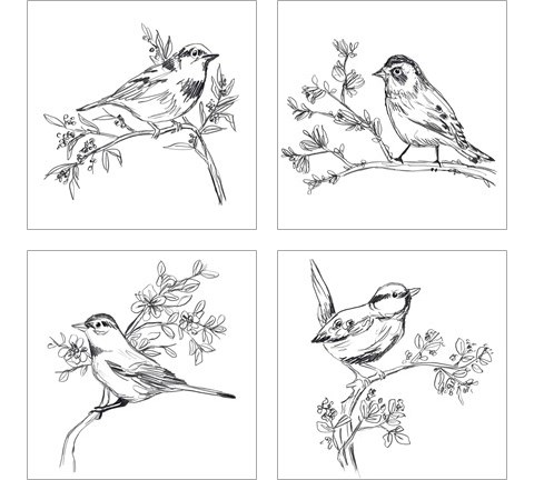 Simple Songbird Sketches 4 Piece Art Print Set by June Erica Vess