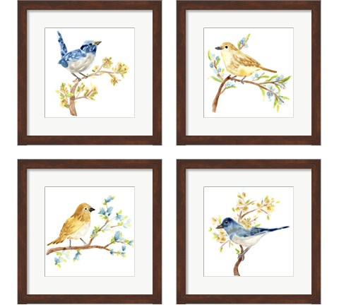 Springtime Songbirds 4 Piece Framed Art Print Set by June Erica Vess