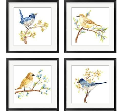 Springtime Songbirds 4 Piece Framed Art Print Set by June Erica Vess