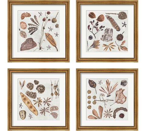 Small Things 4 Piece Framed Art Print Set by Melissa Wang