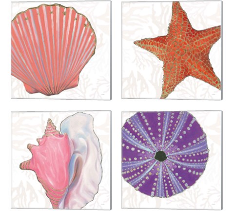Shimmering Shells 4 Piece Canvas Print Set by James Wiens