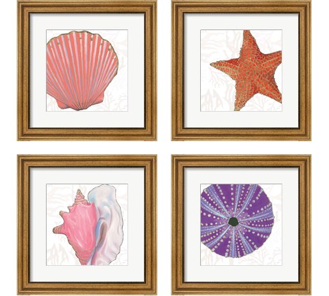 Shimmering Shells 4 Piece Framed Art Print Set by James Wiens