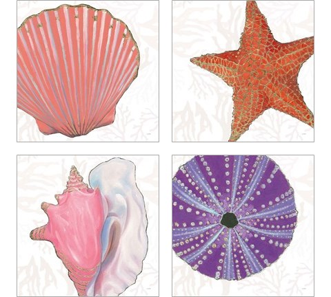 Shimmering Shells 4 Piece Art Print Set by James Wiens
