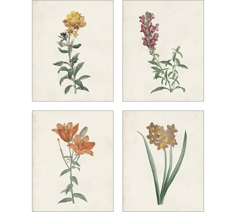 Classic Botanicals 4 Piece Art Print Set by Pierre-Joseph Redoute